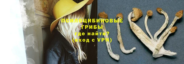 эйфоретик Инсар