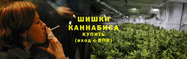 круглые Иннополис