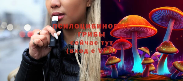 эйфоретик Инсар